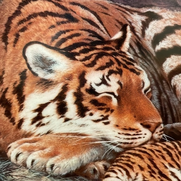 The Siberian Tiger Will Nelson Vintage Last of Their Kind Endangered Plate - Picture 13 of 16